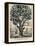 The Tree of Intemperance, Published by N. Currier, New York, 1849-Currier & Ives-Framed Premier Image Canvas