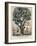 The Tree of Intemperance, Published by N. Currier, New York, 1849-Currier & Ives-Framed Giclee Print