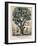 The Tree of Intemperance, Published by N. Currier, New York, 1849-Currier & Ives-Framed Giclee Print