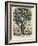 The Tree of Intemperance, Published by N. Currier, New York, 1849-Currier & Ives-Framed Giclee Print