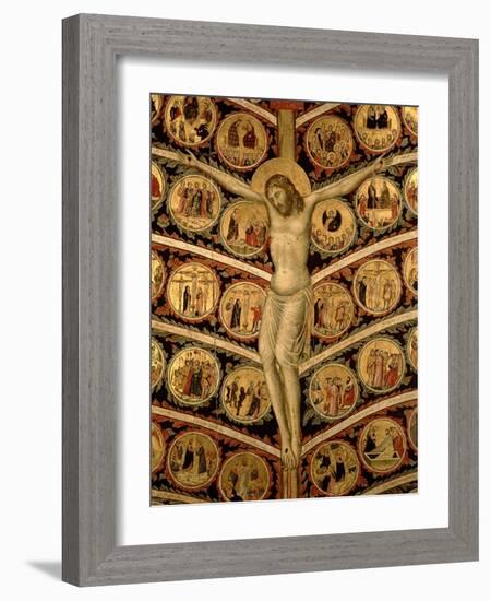 The Tree of Life, c.1310-Pacino Di Buonaguida-Framed Giclee Print