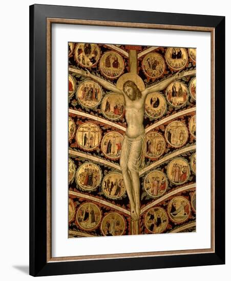 The Tree of Life, c.1310-Pacino Di Buonaguida-Framed Giclee Print