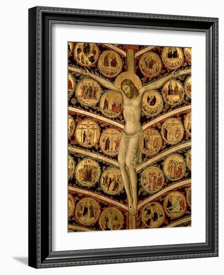 The Tree of Life, c.1310-Pacino Di Buonaguida-Framed Giclee Print