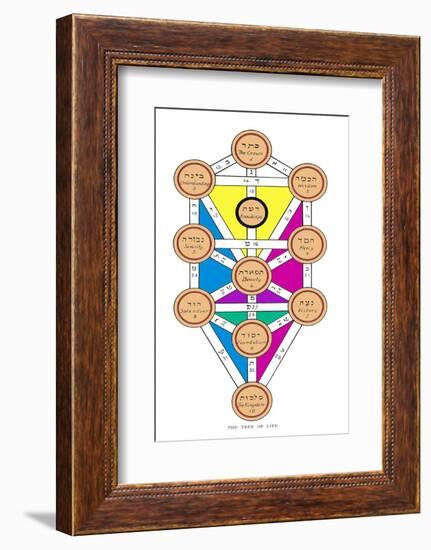 The Tree of Life of the Jewish Caballa-J.f.c. Fuller-Framed Photographic Print