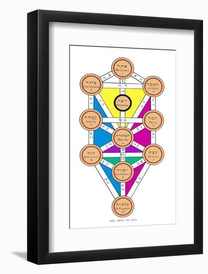 The Tree of Life of the Jewish Caballa-J.f.c. Fuller-Framed Photographic Print