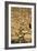 The Tree of Life, Stoclet Frieze, c.1909-Gustav Klimt-Framed Giclee Print