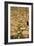 The Tree of Life, Stoclet Frieze, c.1909-Gustav Klimt-Framed Giclee Print