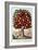 The Tree of Temperance, 1872-Currier & Ives-Framed Giclee Print