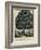 The Tree of Temperance, Published by N. Currier, New York, 1849-Currier & Ives-Framed Giclee Print