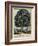 The Tree of Temperance, Published by N. Currier, New York, 1849-Currier & Ives-Framed Giclee Print