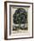 The Tree of Temperance, Published by N. Currier, New York, 1849-Currier & Ives-Framed Giclee Print