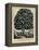 The Tree of Temperance, Published by N. Currier, New York, 1849-Currier & Ives-Framed Premier Image Canvas