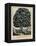 The Tree of Temperance, Published by N. Currier, New York, 1849-Currier & Ives-Framed Premier Image Canvas