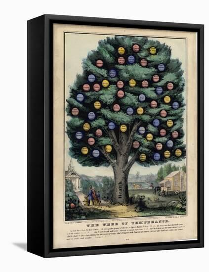 The Tree of Temperance, Published by N. Currier, New York, 1849-Currier & Ives-Framed Premier Image Canvas