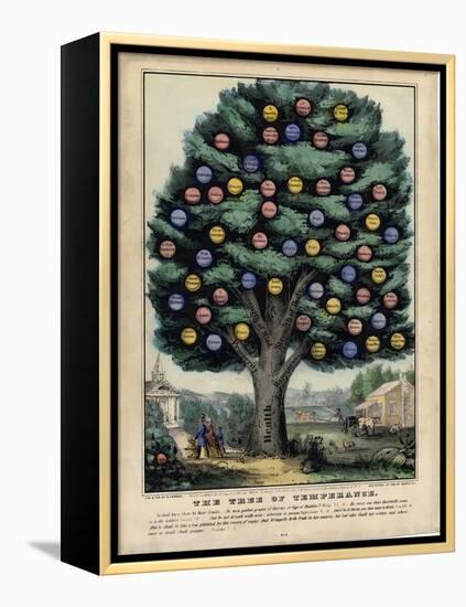 The Tree of Temperance, Published by N. Currier, New York, 1849-Currier & Ives-Framed Premier Image Canvas