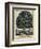 The Tree of Temperance, Published by N. Currier, New York, 1849-Currier & Ives-Framed Giclee Print