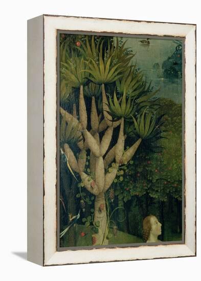 The Tree of the Knowledge of Good and Evil, Fr. the Right Panel of the Garden of Earthly Delights-Hieronymus Bosch-Framed Premier Image Canvas