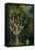 The Tree of the Knowledge of Good and Evil, Fr. the Right Panel of the Garden of Earthly Delights-Hieronymus Bosch-Framed Premier Image Canvas