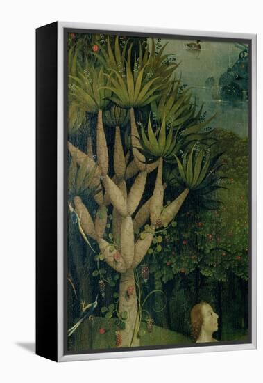 The Tree of the Knowledge of Good and Evil, Fr. the Right Panel of the Garden of Earthly Delights-Hieronymus Bosch-Framed Premier Image Canvas