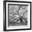 The Tree Square-BW 2-Moises Levy-Framed Photographic Print