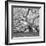 The Tree Square-BW 2-Moises Levy-Framed Photographic Print