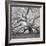 The Tree Square-BW 2-Moises Levy-Framed Premium Photographic Print