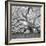 The Tree Square-BW 2-Moises Levy-Framed Premium Photographic Print