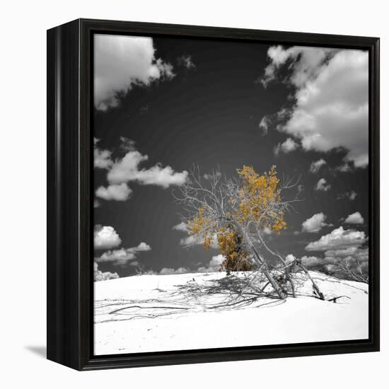 The Tree That Would Not Die-Philippe Sainte-Laudy-Framed Premier Image Canvas