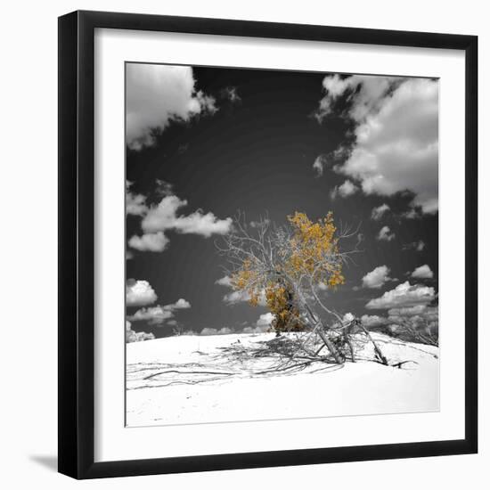 The Tree That Would Not Die-Philippe Sainte-Laudy-Framed Photographic Print