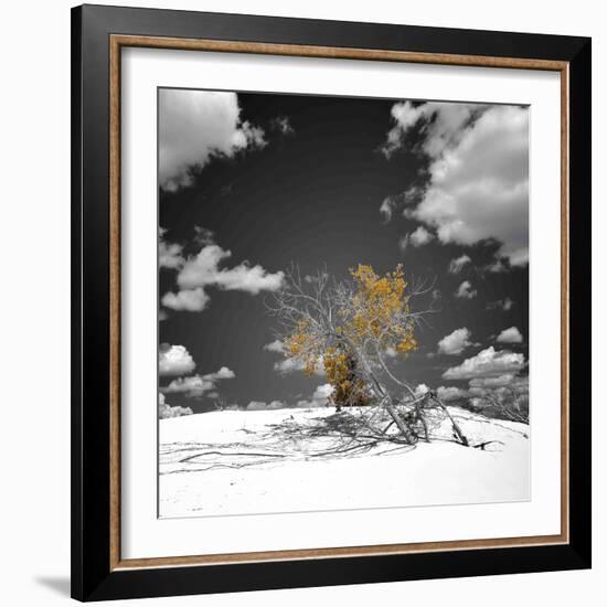 The Tree That Would Not Die-Philippe Sainte-Laudy-Framed Photographic Print