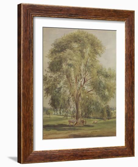 The Tree (W/C)-John Constable-Framed Giclee Print