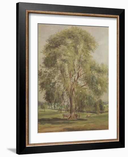 The Tree (W/C)-John Constable-Framed Giclee Print
