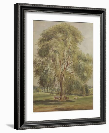 The Tree (W/C)-John Constable-Framed Giclee Print