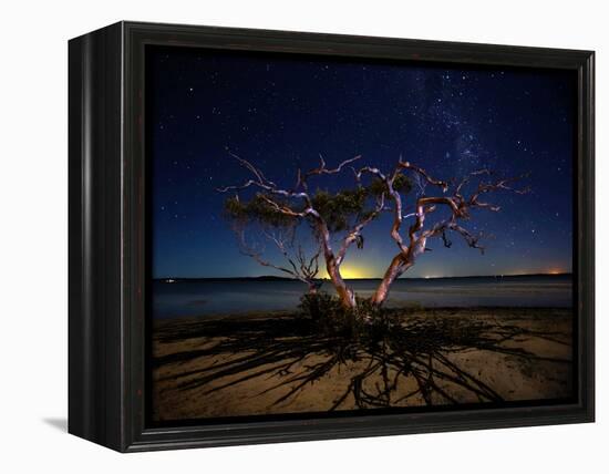 The Tree-Mel Brackstone-Framed Premier Image Canvas