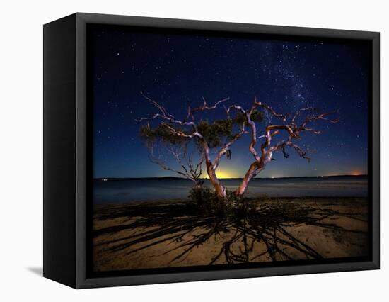 The Tree-Mel Brackstone-Framed Premier Image Canvas