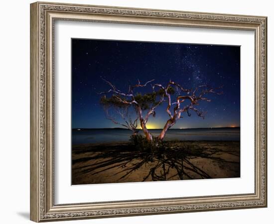 The Tree-Mel Brackstone-Framed Photographic Print