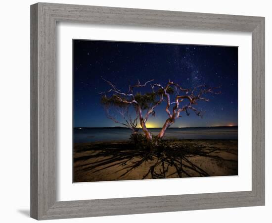 The Tree-Mel Brackstone-Framed Photographic Print