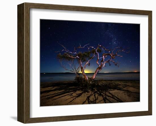 The Tree-Mel Brackstone-Framed Photographic Print