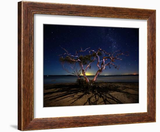 The Tree-Mel Brackstone-Framed Photographic Print