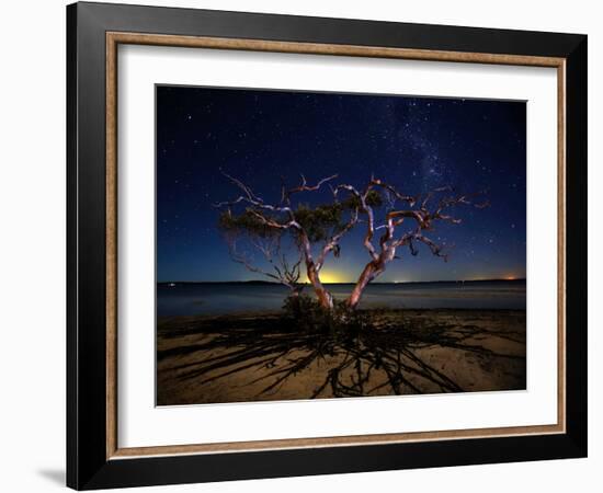 The Tree-Mel Brackstone-Framed Photographic Print