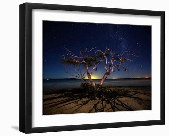 The Tree-Mel Brackstone-Framed Photographic Print