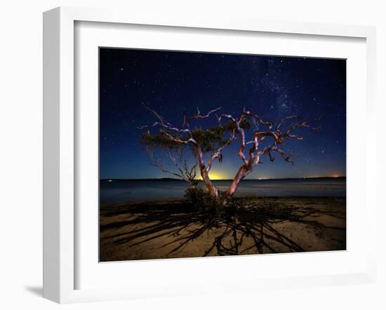 The Tree-Mel Brackstone-Framed Photographic Print