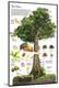 Premium Photographic Print