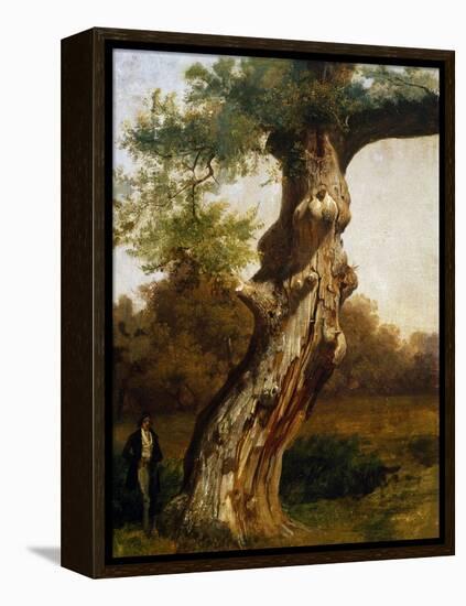 The Tree-Filippo Palizzi-Framed Premier Image Canvas