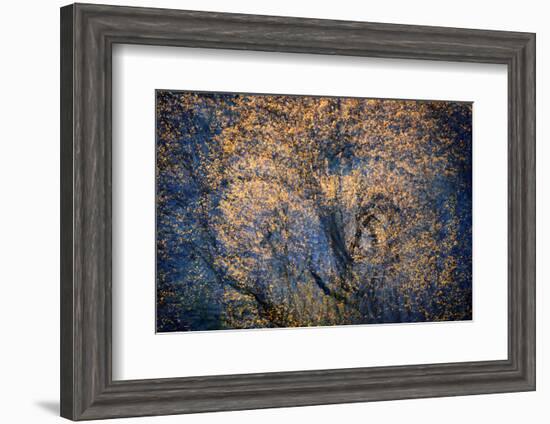 The Trees Have Eyes-Ursula Abresch-Framed Photographic Print