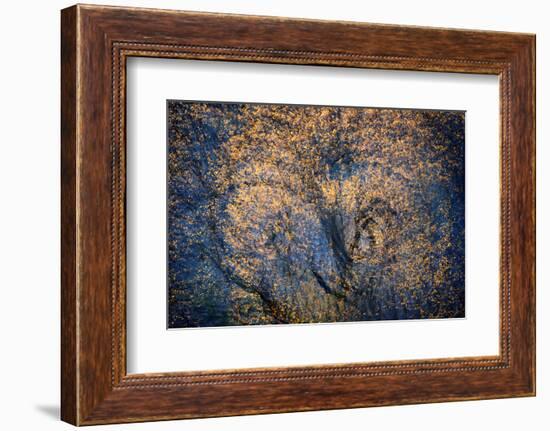 The Trees Have Eyes-Ursula Abresch-Framed Photographic Print