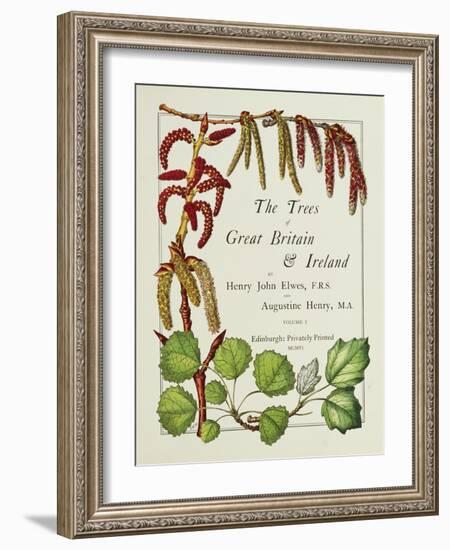 The Trees of Great Britain and Ireland, Volume 1-Henry John and Augustine Elwes and Henry-Framed Giclee Print