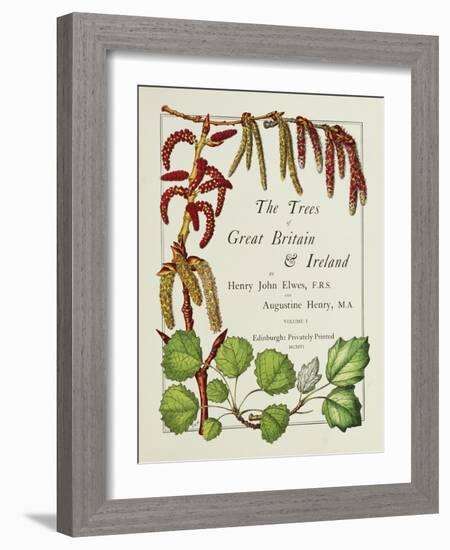 The Trees of Great Britain and Ireland, Volume 1-Henry John and Augustine Elwes and Henry-Framed Giclee Print