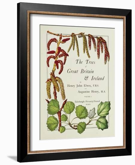 The Trees of Great Britain and Ireland, Volume 1-Henry John and Augustine Elwes and Henry-Framed Giclee Print