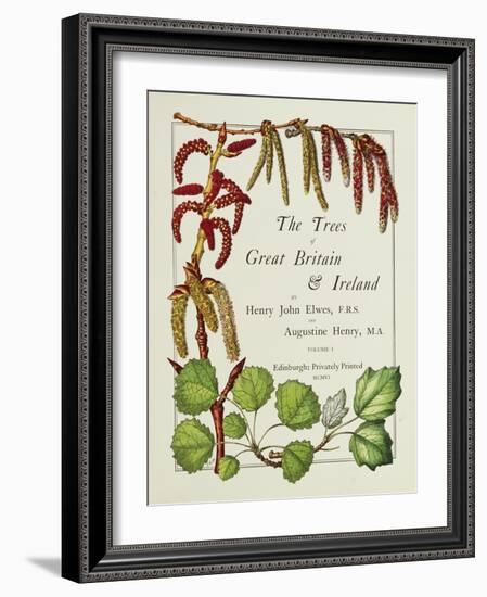 The Trees of Great Britain and Ireland, Volume 1-Henry John and Augustine Elwes and Henry-Framed Giclee Print